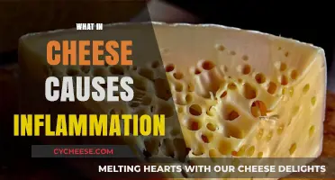 Cheese and Inflammation: Uncovering the Surprising Culprits Behind the Pain