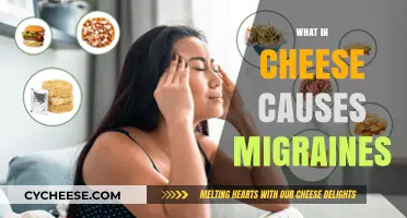 Cheese and Migraines: Uncovering the Hidden Triggers in Dairy