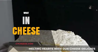 Unraveling the Delicious Mystery: What's Really in Your Cheese?