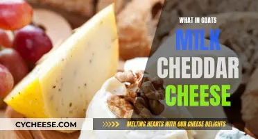 Goat Milk Cheddar: A Healthy, Tangy Twist on Classic Cheese