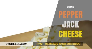 Exploring Pepper Jack Cheese: Ingredients, Flavor, and Uses Revealed