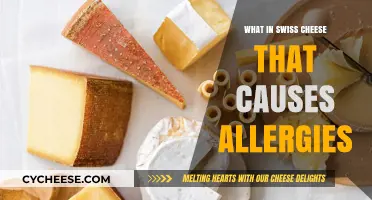 Swiss Cheese Allergies: What's the Culprit?