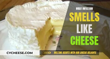 The Mysterious Scent of Infection: A Cheesy Analogy