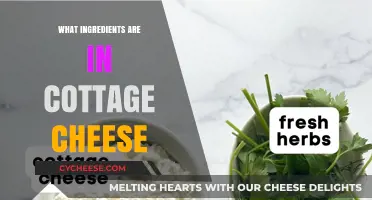 Cottage Cheese Ingredients: Uncovering the Simple Components of This Creamy Delight