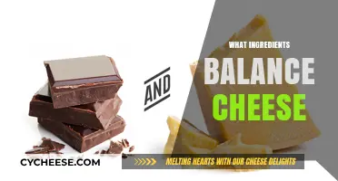 Perfect Pairings: Ingredients That Balance Cheese for Ultimate Flavor Harmony