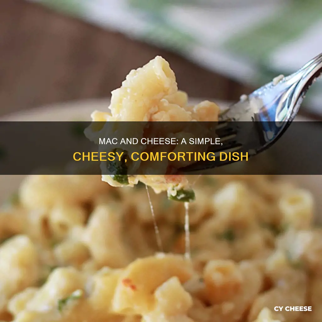 what ingredients do you need for macaroni and cheese