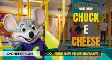 The Secrets Behind Chuck E. Cheese's Success