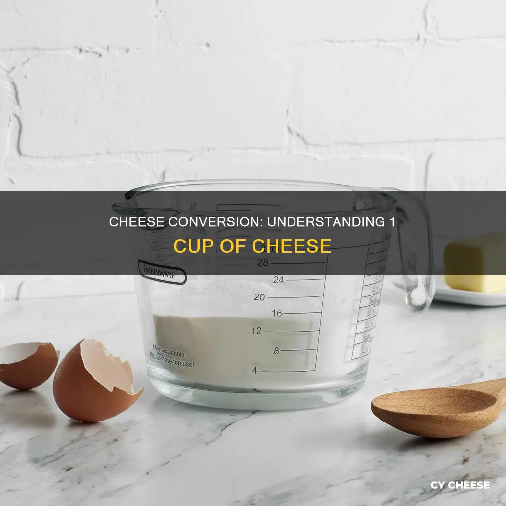 what is 1 cup cheese