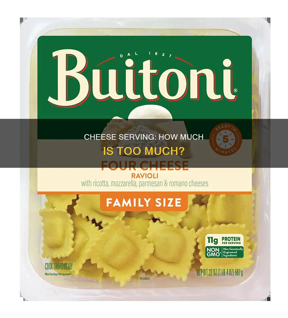 what is 1 serving of cheese