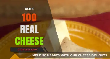 Understanding the Authenticity of 100% Real Cheese: A Comprehensive Guide