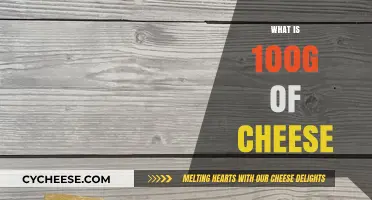 Understanding Cheese Portions: What Does 100g of Cheese Look Like?