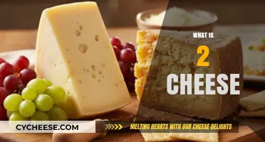 Exploring the Unique Flavors and Origins of 2 Cheese Varieties