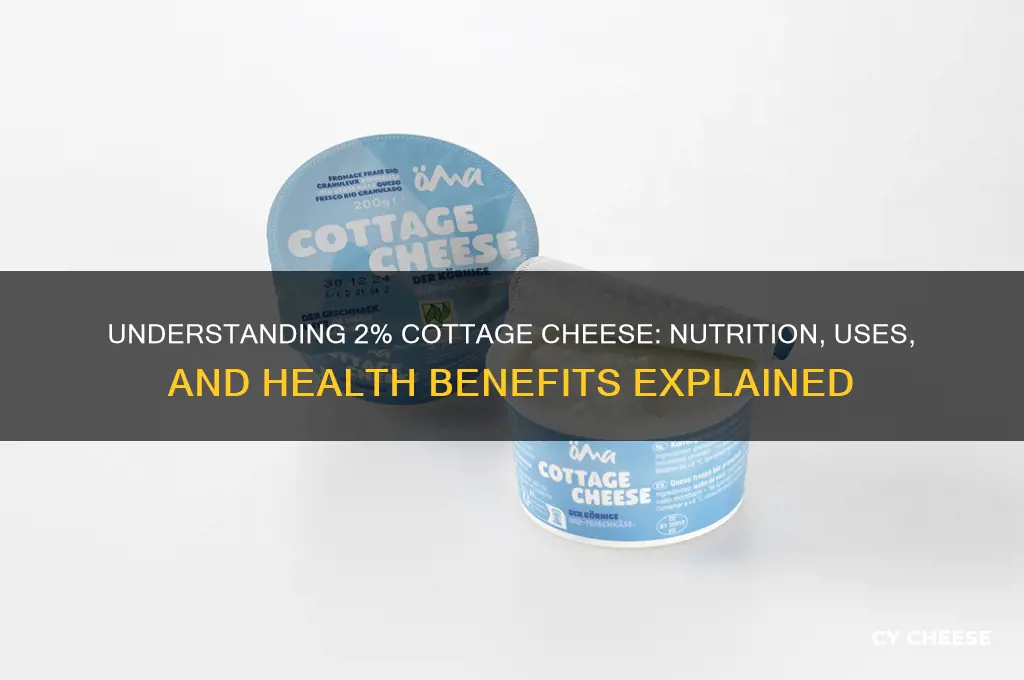 what is 2 cottage cheese
