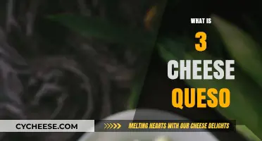 Discover the Creamy Delight: Unveiling the Secret of 3 Cheese Queso