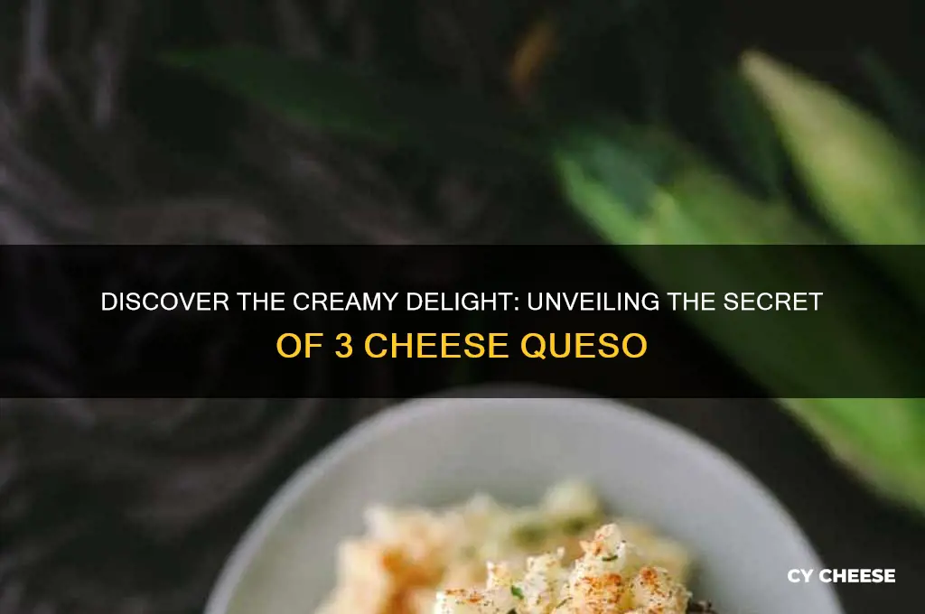 what is 3 cheese queso