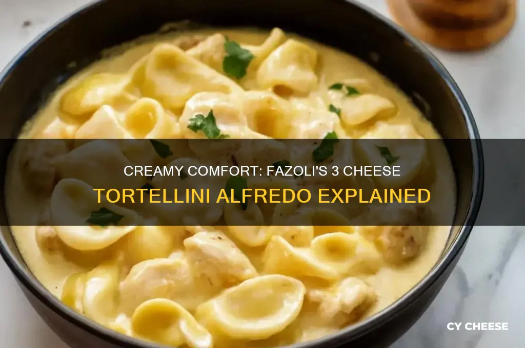 what is 3 cheese tortellini alfredo fazoli