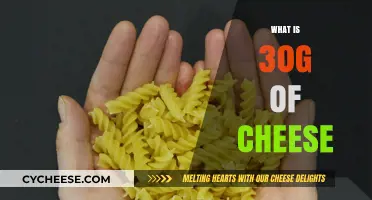 Understanding 30g of Cheese: Portion Size, Nutrition, and Practical Tips