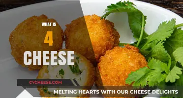 Exploring the Creamy Delight: Understanding the Classic 4 Cheese Blend