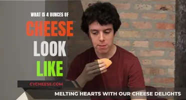 Cheese Portioning: Understanding 4 Ounces Visually
