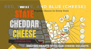 Exploring the Four States of Cheddar: A Cheesy Adventure