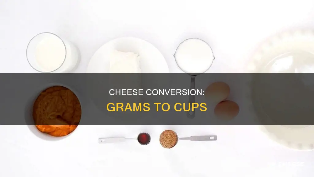 what is 60 grams of cheese in cups