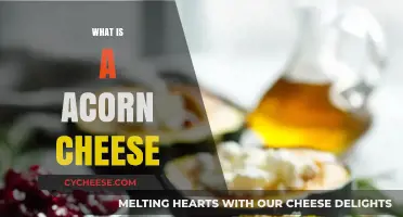 Discover Acorn Cheese: A Unique, Nutty Culinary Delight Explained