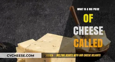 What's a Big Piece of Cheese Called? Exploring Cheesy Terminology