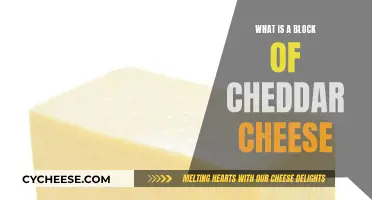 The Magic of Cheddar Cheese Blocks: A Tasty Adventure