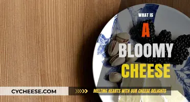 Exploring Bloomy Cheese: Its Unique Texture, Flavor, and Production Process