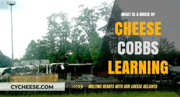 Understanding Cheese Bricks: Cobbs Learning's Unique Approach Explained