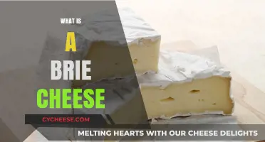 Discover the Creamy Delight: What is Brie Cheese?