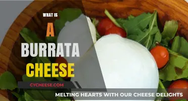 Discover the Creamy Delight: What is Burrata Cheese?