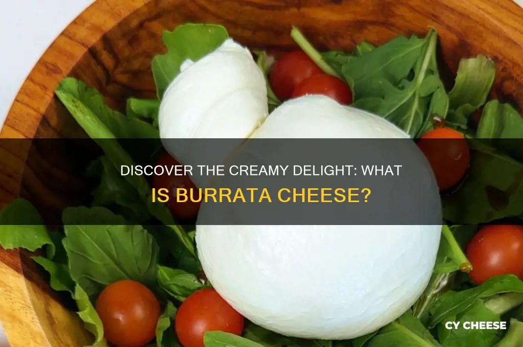 what is a burrata cheese