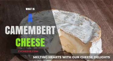 Discover the Creamy Delight: What is Camembert Cheese?