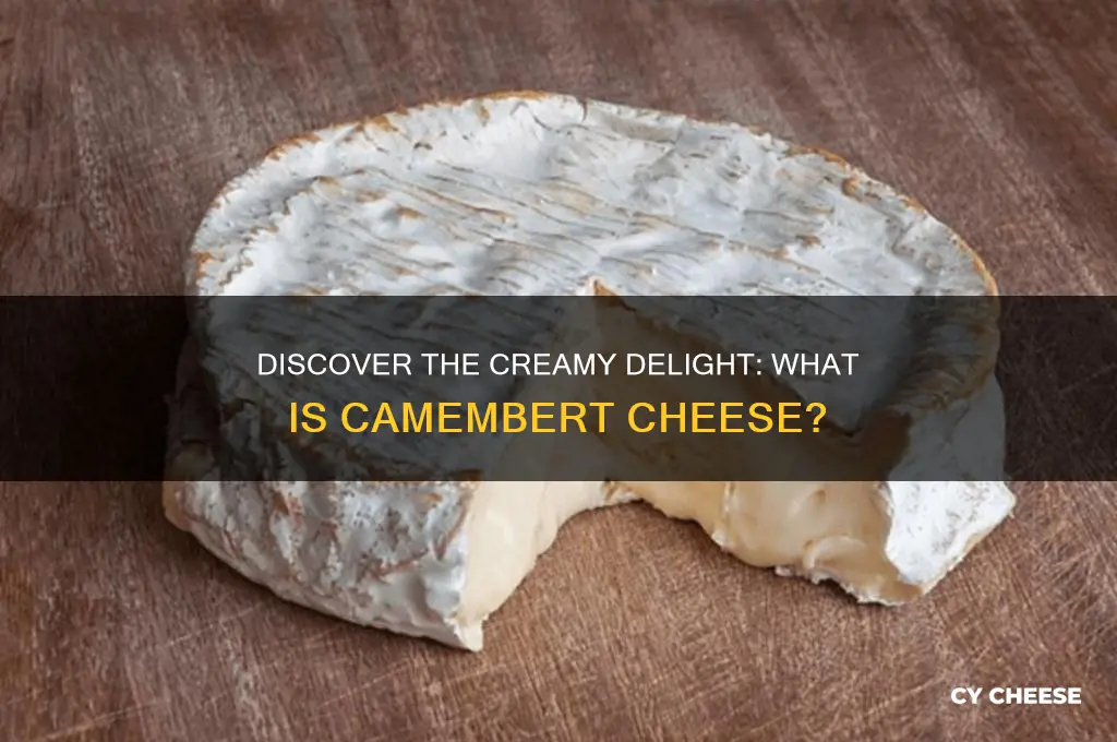 what is a camembert cheese