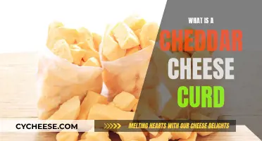 Unveiling the Secrets of Cheddar Cheese Curds: A Delicious Adventure