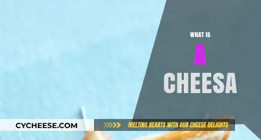 Discover the Unique Charm and Flavor of a Cheesa