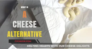 Discovering Dairy-Free Delights: Exploring Cheese Alternatives for Every Diet