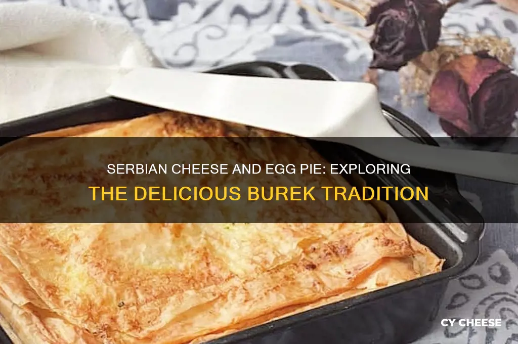 what is a cheese and egg pie called in serbia