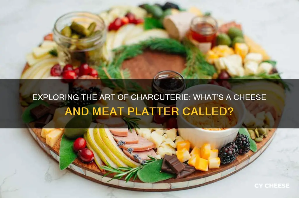 what is a cheese and meat platter called