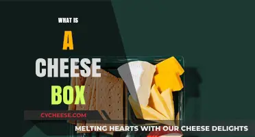 Exploring the Cheese Box: Uses, Types, and Creative Ideas
