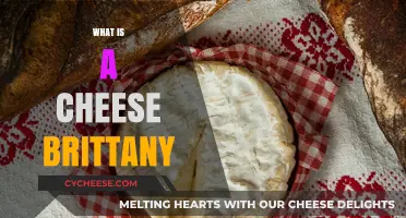 Discovering Cheese Brittany: A French Culinary Delight Explained