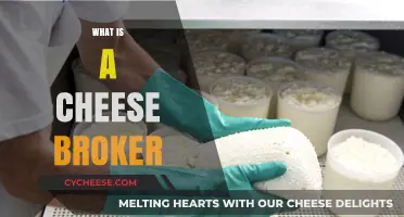 Understanding the Role of a Cheese Broker in the Dairy Industry