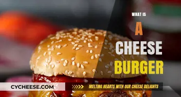 Exploring the Classic Cheese Burger: Ingredients, History, and Variations