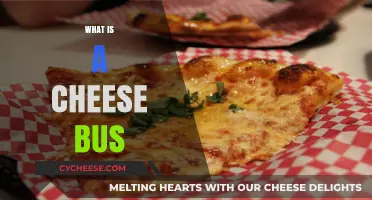 Exploring the Cheese Bus: A Unique Culinary Adventure on Wheels