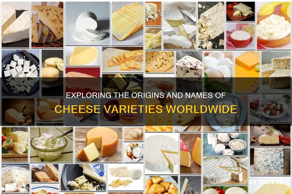 what is a cheese called