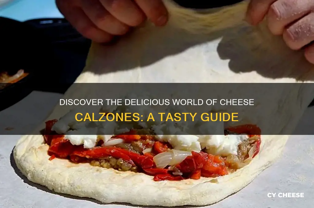 what is a cheese calzone