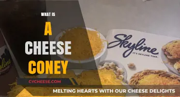 Discover the Delicious Cincinnati Cheese Coney: A Hot Dog Delight