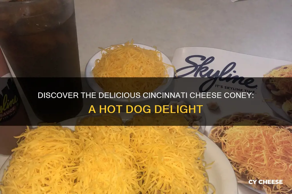 what is a cheese coney