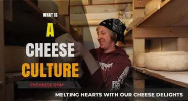 Understanding Cheese Culture: The Heart of Artisan Cheese Making